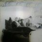 12 Negative Slab Camera Glass Magic Lantern Photographs Years 30 BM56L