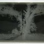 21 Plates?S Life On Glass Magic Lantern Ancient France 1930 Photo BM56S7