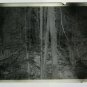 21 Plates?S Life On Glass Magic Lantern Ancient France 1930 Photo BM56S7