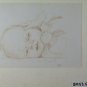 Old Drawing Portrait Child Opera Painter Danish Marianne Smith BM53.6B