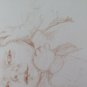 Old Drawing Portrait Child Opera Painter Danish Marianne Smith BM53.6B
