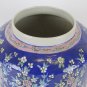Jar Chinese Porcelain Painting Hand Potiche Giger Jar For Spices CM12 B