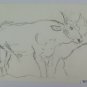 Drawing Sketch Old Cows To Pasture Opera Of Painter G.Pancaldi P14