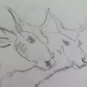 Drawing Sketch Old Cows To Pasture Opera Of Painter G.Pancaldi P14