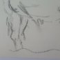 Drawing Sketch Old Cows To Pasture Opera Of Painter G.Pancaldi P14