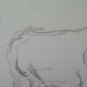 Drawing Sketch Old Cows To Pasture Opera Of Painter G.Pancaldi P14
