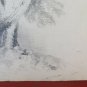 Drawing Antique Pencil On paper Signed landscape Woods France First 900 BM53.5F