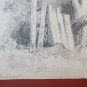 Drawing Antique Pencil On paper Signed landscape Woods France First 900 BM53.5F