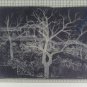 14 Views Piedmont Old Paintings White Black On Board Views Torino X4