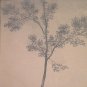 Engraving Antique Lithography On paper Portrait Lady France End 800 Start 900 X9