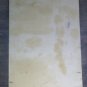 Old Painting oil On Board Small Painting landscape Cypress Trees Pancaldi P1