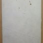 Napoleon on Horseback Large Drawing Antique Painter Pierre Duteurtre Dut BM53.1