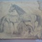Old Drawing With Horses Equestrian Signed Tajada Spain '900 Painting MD10