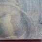 Old Drawing With Horses Equestrian Signed Tajada Spain '900 Painting MD10