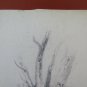 Painting Antique landscape Countryside Pencil On paper Tree Woods France BM53.5b