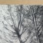 12 5/8x18 7/8in Drawing Antique landscape Charcoal Pierre Duteurtre Said Dut