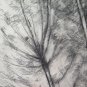 12 5/8x18 7/8in Drawing Antique landscape Charcoal Pierre Duteurtre Said Dut
