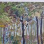Landscape Forces Bush Painting oil Signed Causse France Vintage Board X7