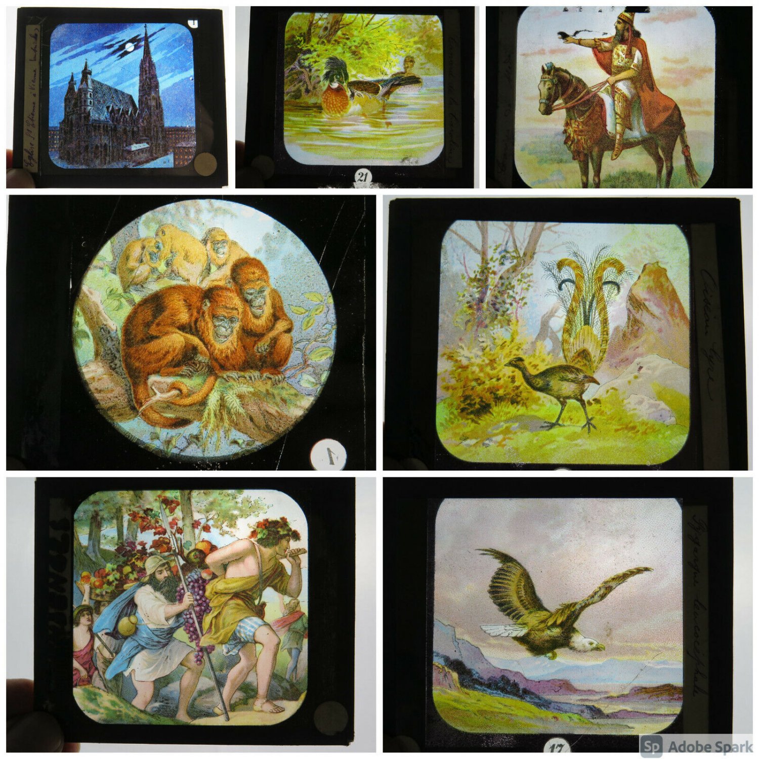 7 Ancient Slide Colours On Glass Magic Lantern Slides Photographs Photo BM56R