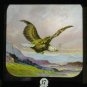 7 Ancient Slide Colours On Glass Magic Lantern Slides Photographs Photo BM56R