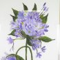 Old Painting Floral Blossom Signed Saba Watercolour On paper X11
