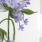 Old Painting Floral Blossom Signed Saba Watercolour On paper X11
