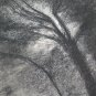 Drawing Antique landscape Countryside Carbon, Pierre Duteurtre Said Dut BM53.1 B