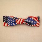 American Pride-Small Clip On Bow Tie