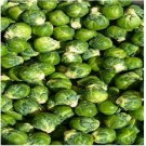 Neysastore 100 Seeds Brussel Sprouts