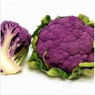 Neysastore Italian purple headed cauliflower Seeds 100Pcs