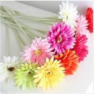 Neysastore USA-99PCS Fresh Artificial Gerbera Flower seeds Chrysanthemum Daisy Mix Color