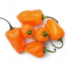 Neysastore USA-Seller 50PCS Pepper Seeds Vegetables Habanero Orange Chilli seeds