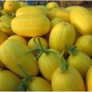 Neysastore 20PCS SEEDS Fresh Sweet Organic Yellow Melon Seeds Vegetable Fruit Seeds