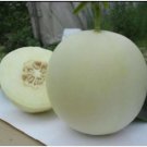 Neysastore White Muskmelon Seeds 10PCS Seeds Sugar Jar Melon Delicious Fruit Garden Seeds