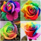 Neysastore USA-Seller 50pcs Colorful Rainbow Rose Flower Seeds Home Garden Plants