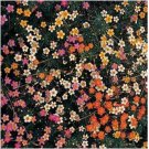 Neysastore Leptosiphon Hybrida French Hybrids Mix- 100 Seeds