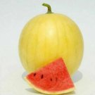 Neysastore Heirloom 'Huang Pi Qiu' Yellow Skin Red Seedless Watermelon -20PCS Seeds