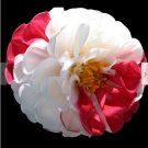 Neysastore Rare Beautiful Perennial Dahlia Flowers Seeds 20PCS 6