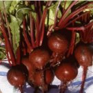 Neysastore 25 FRESH HEIRLOOM DETROIT DARK RED BEET SEEDS