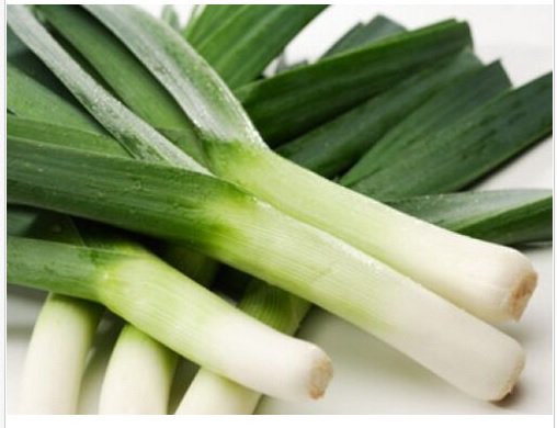 Neysastore 50 FRESH HEIRLOOM LEEK AMERICAN FLAG SEEDS