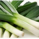 Neysastore 50 FRESH HEIRLOOM LEEK AMERICAN FLAG SEEDS