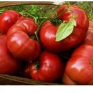 Neysastore 25 HEIRLOOM BRANDYWINE RED FRESH TOMATO SEEDS
