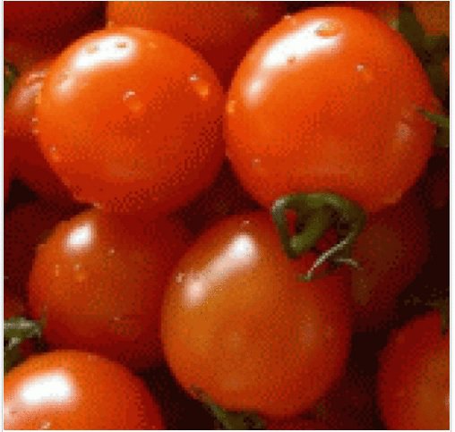 Neysastore 25 FRESH HEIRLOOM SMALL RED CHERRY TOMATO SEEDS