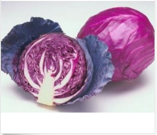 Neysastore 25 FRESH CABBAGE RED ACRE SEEDS