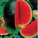 100pc SUGAR BABY WATERMELON Citrullus Lanatus Sweet Red Fruit Melon Vine Seeds