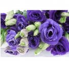 Neysastore 20pc Purple And Lime Lisianthus Flower Seeds Mix