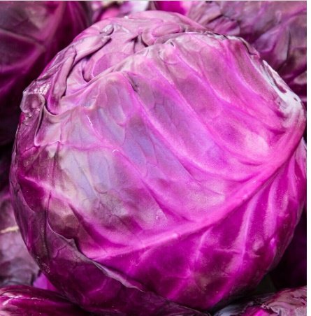 Red Acre Cabbage Fresh Garden 200 Seeds