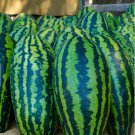 Giant Jubilee Watermelon Fresh Fruit Garden 15 Seeds