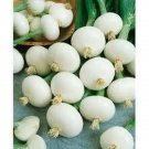 Onion Wax White Pearl 200 Seeds