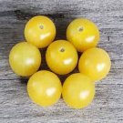 50 Seeds Lemon Drop Tomato Tomatoe Vegetable Flowers Garden